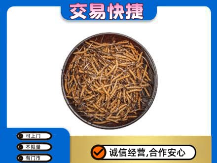 金华高价回收散虫草
